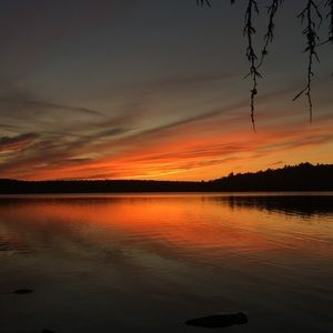 Meet your Posher, Ella